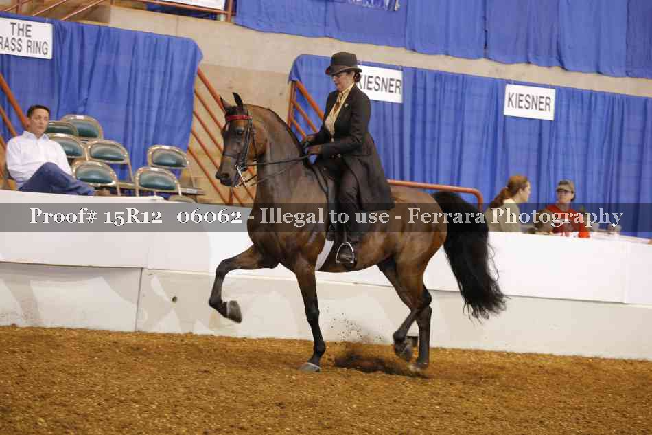 Proof Number 15R12_06062