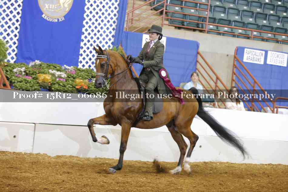 Proof Number 15R12_06086