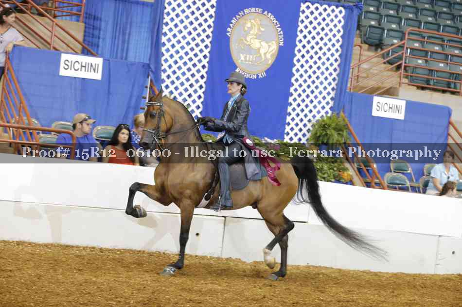 Proof Number 15R12_06100