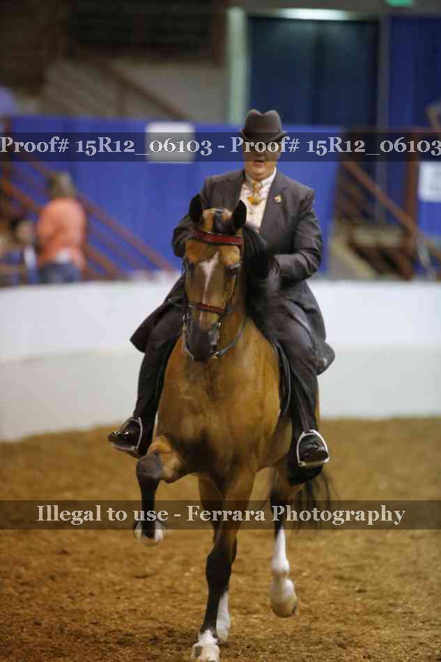 Proof Number 15R12_06103