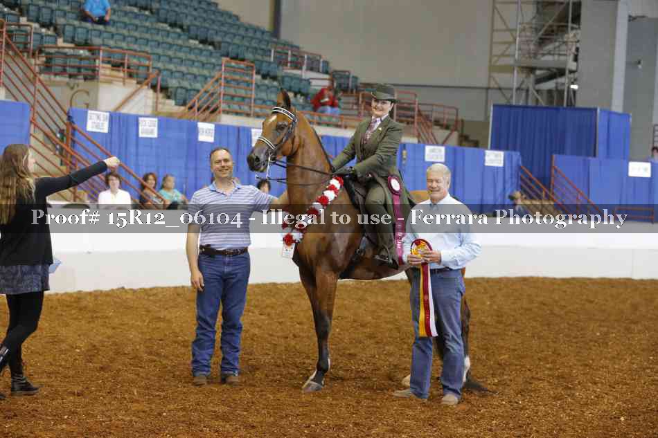Proof Number 15R12_06104