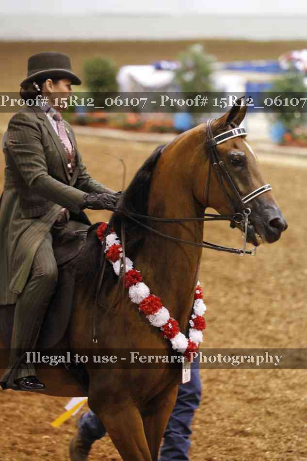 Proof Number 15R12_06107
