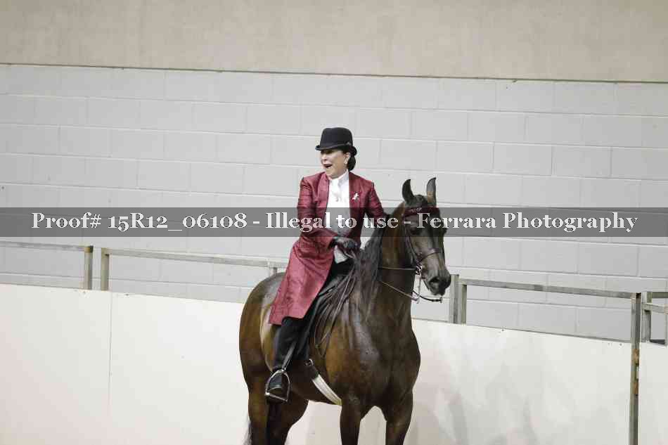 Proof Number 15R12_06108