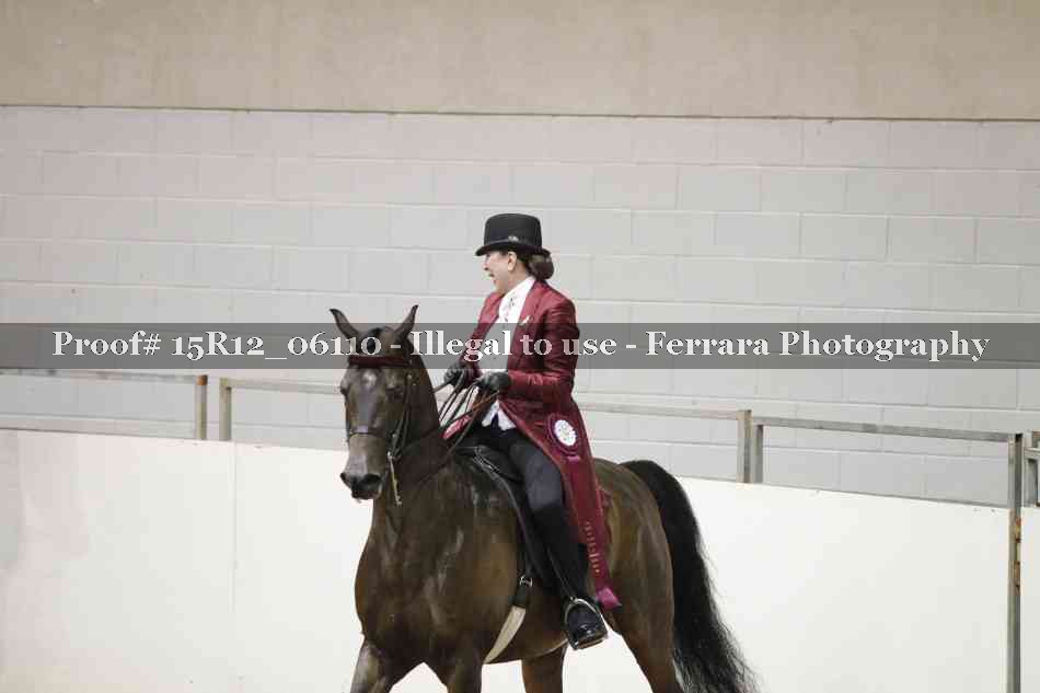 Proof Number 15R12_06110