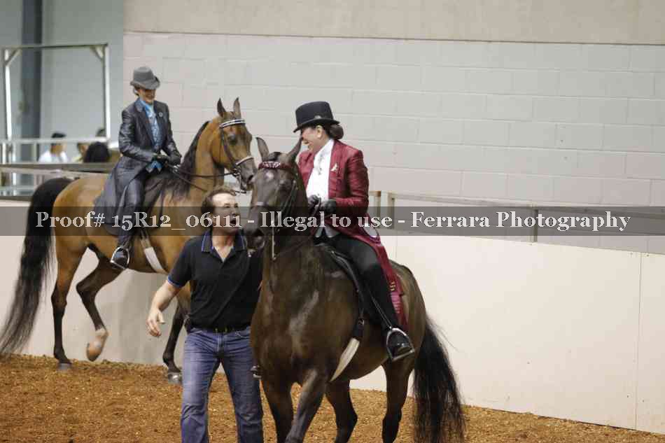 Proof Number 15R12_06111