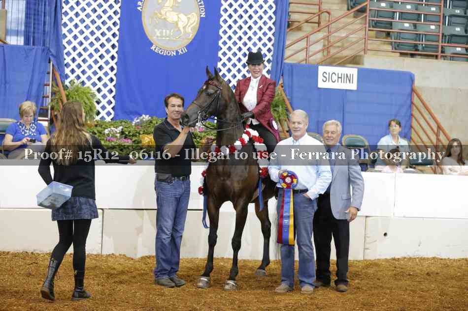 Proof Number 15R12_06116