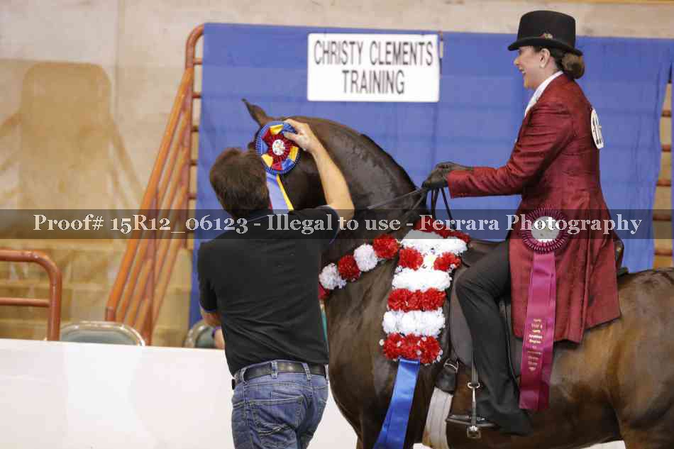 Proof Number 15R12_06123