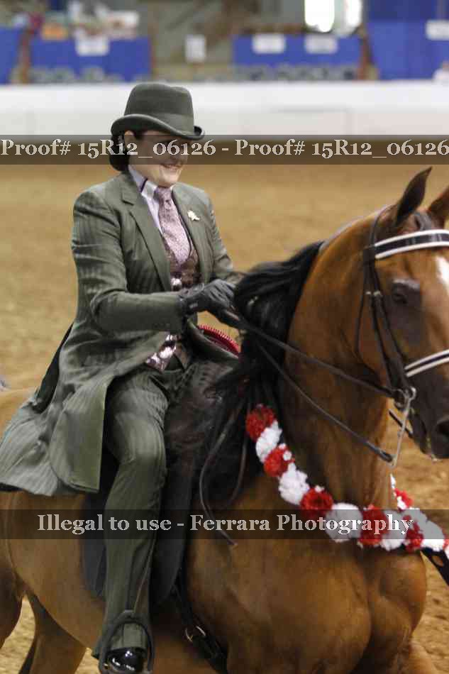Proof Number 15R12_06126