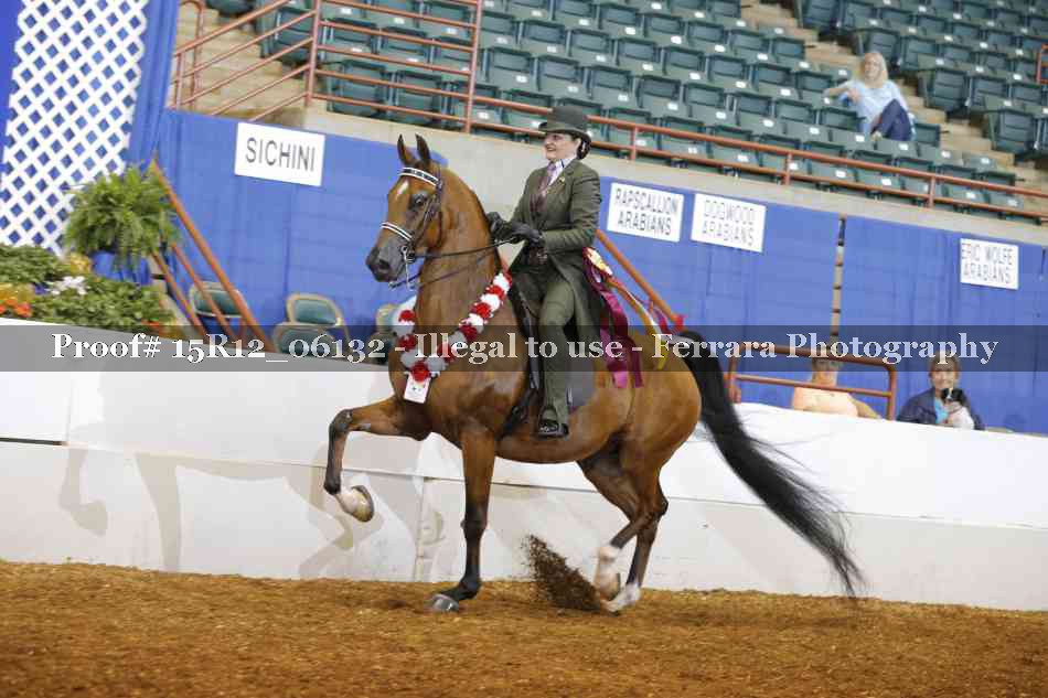 Proof Number 15R12_06132