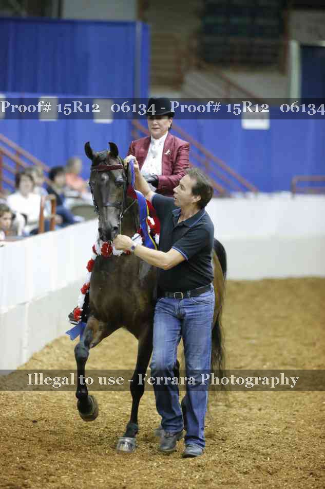 Proof Number 15R12_06134