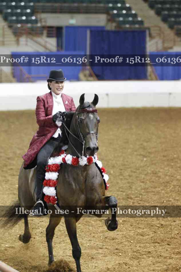 Proof Number 15R12_06136