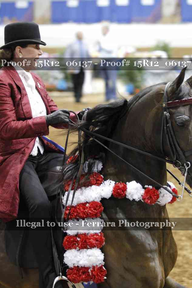 Proof Number 15R12_06137