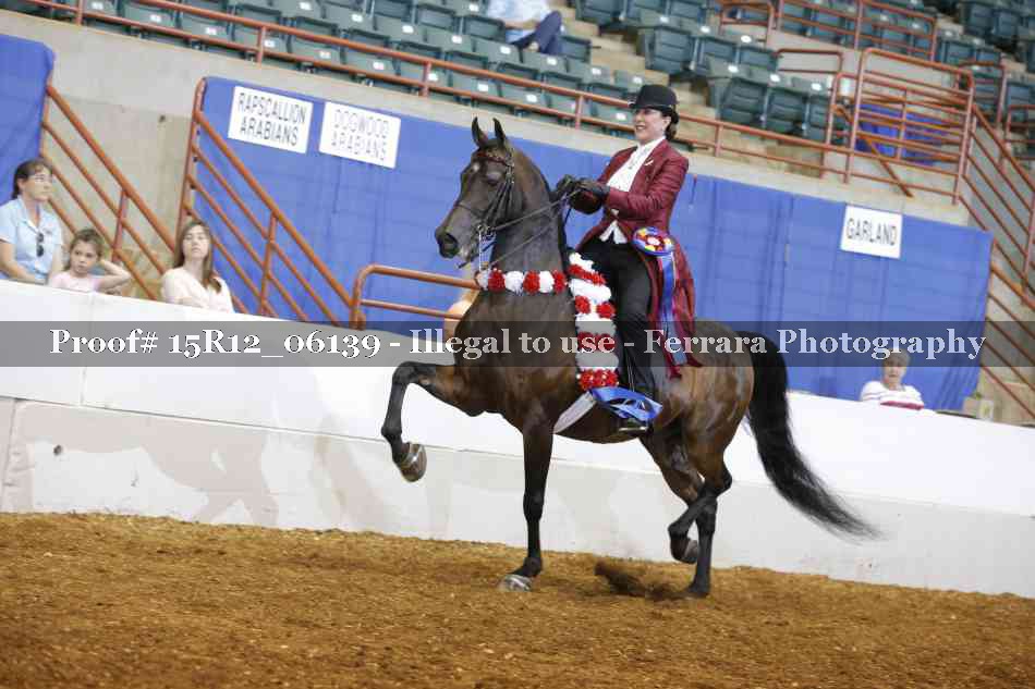 Proof Number 15R12_06139