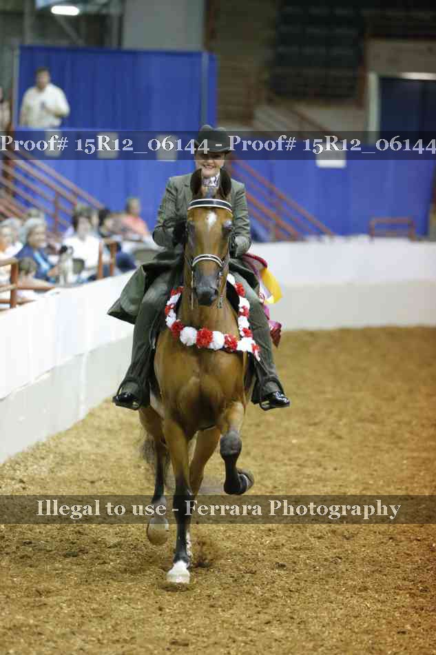 Proof Number 15R12_06144