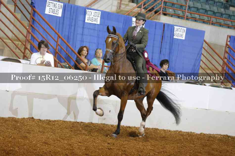 Proof Number 15R12_06250