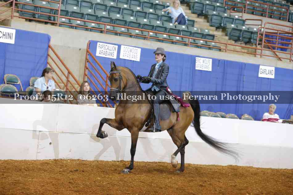 Proof Number 15R12_06263