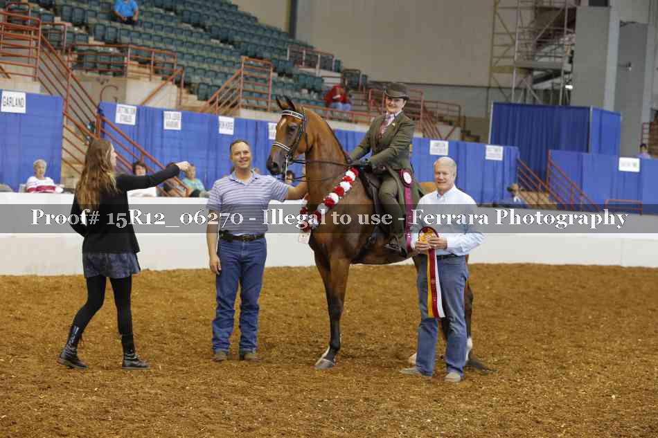 Proof Number 15R12_06270