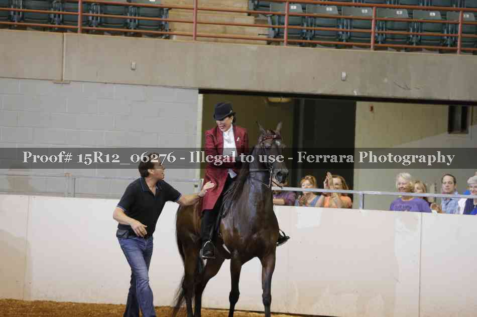 Proof Number 15R12_06276