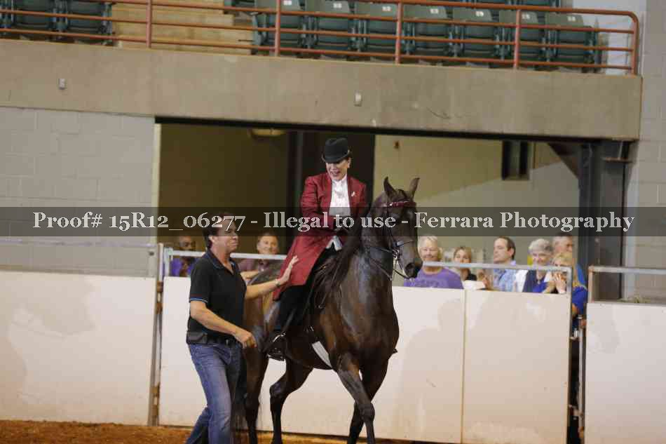 Proof Number 15R12_06277
