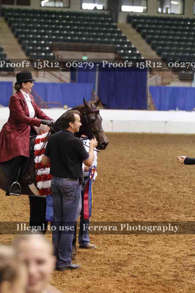 Proof Number 15R12_06279