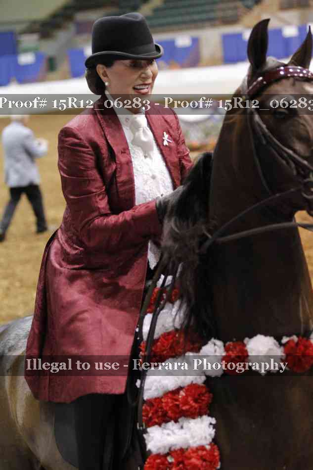 Proof Number 15R12_06283