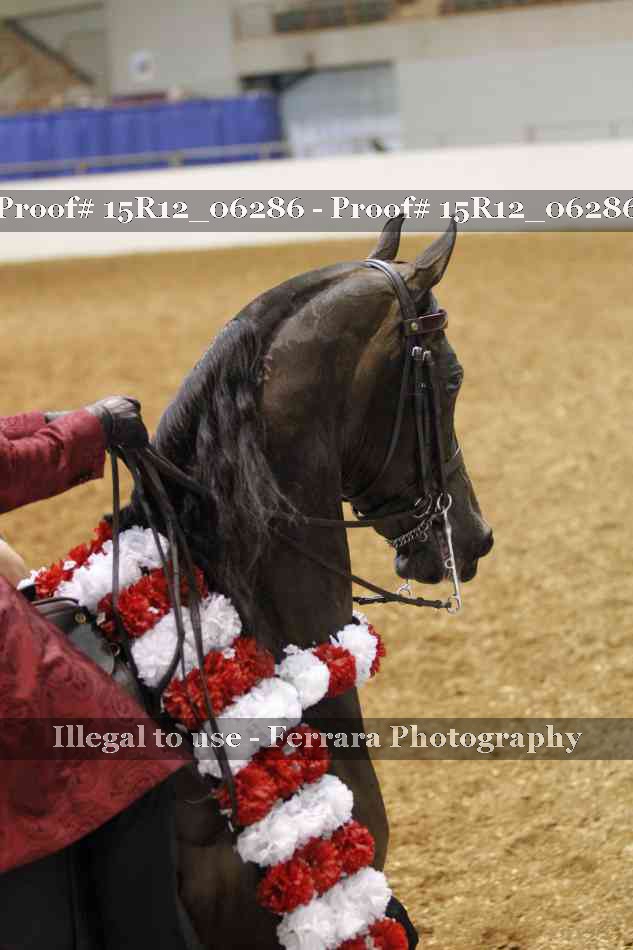 Proof Number 15R12_06286