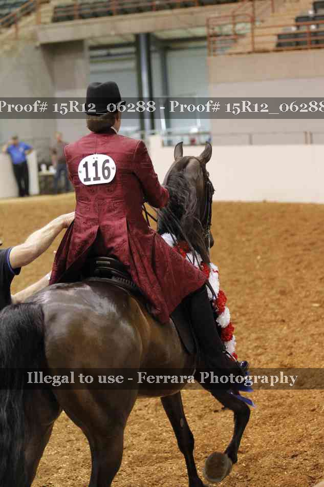 Proof Number 15R12_06288