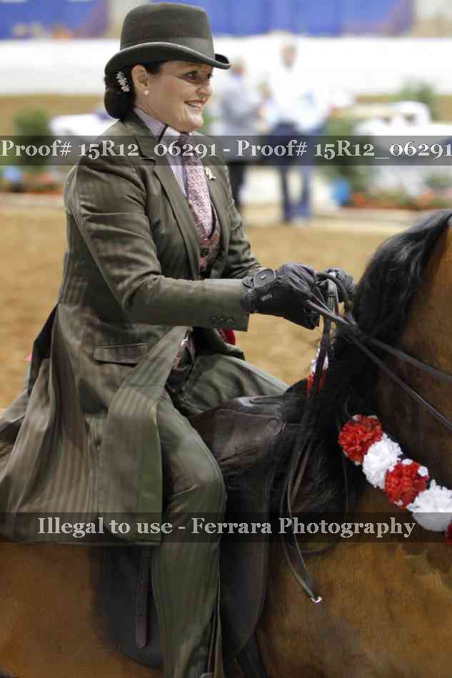 Proof Number 15R12_06291