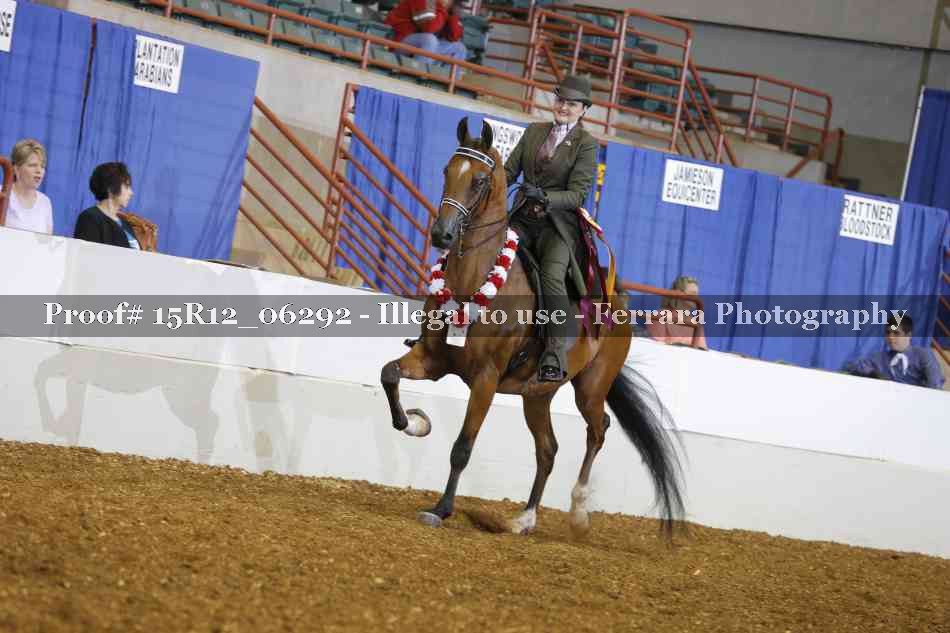 Proof Number 15R12_06292