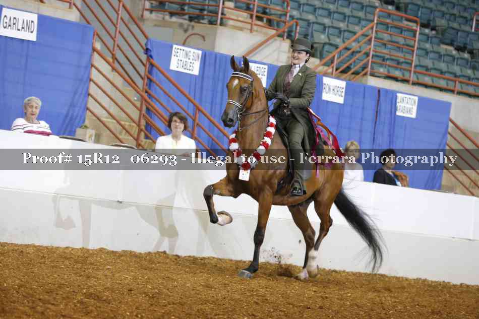 Proof Number 15R12_06293