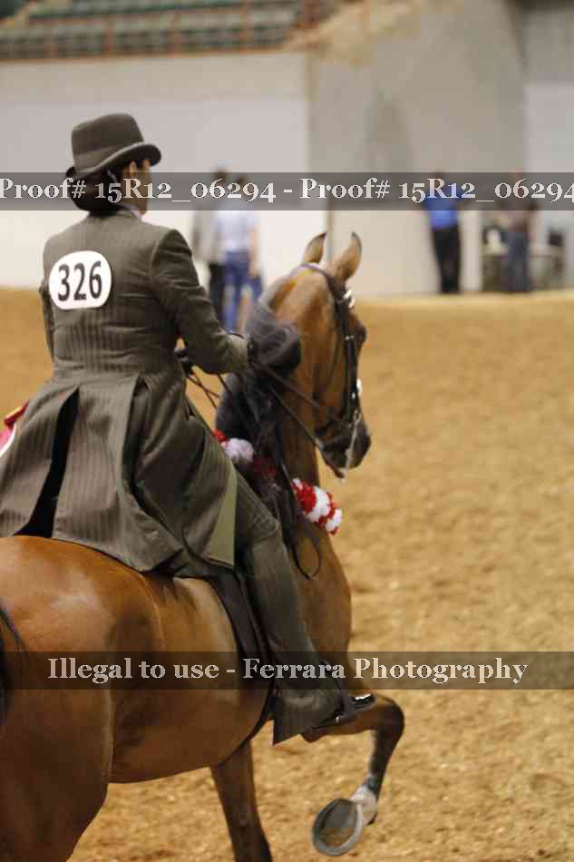 Proof Number 15R12_06294