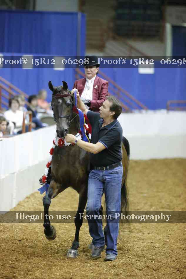Proof Number 15R12_06298