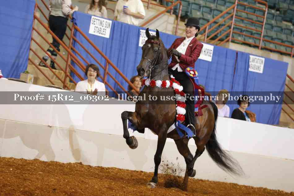 Proof Number 15R12_06302