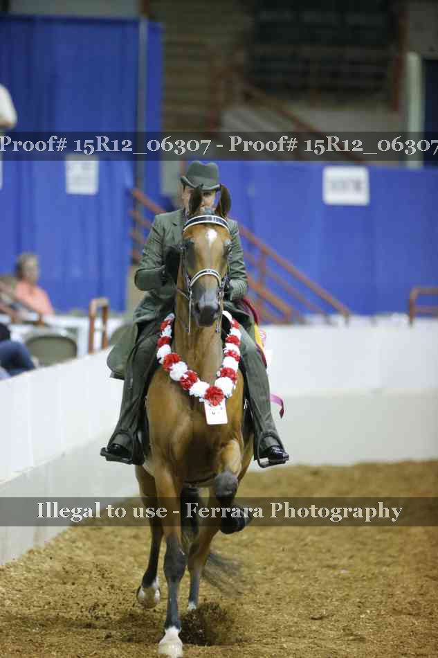 Proof Number 15R12_06307
