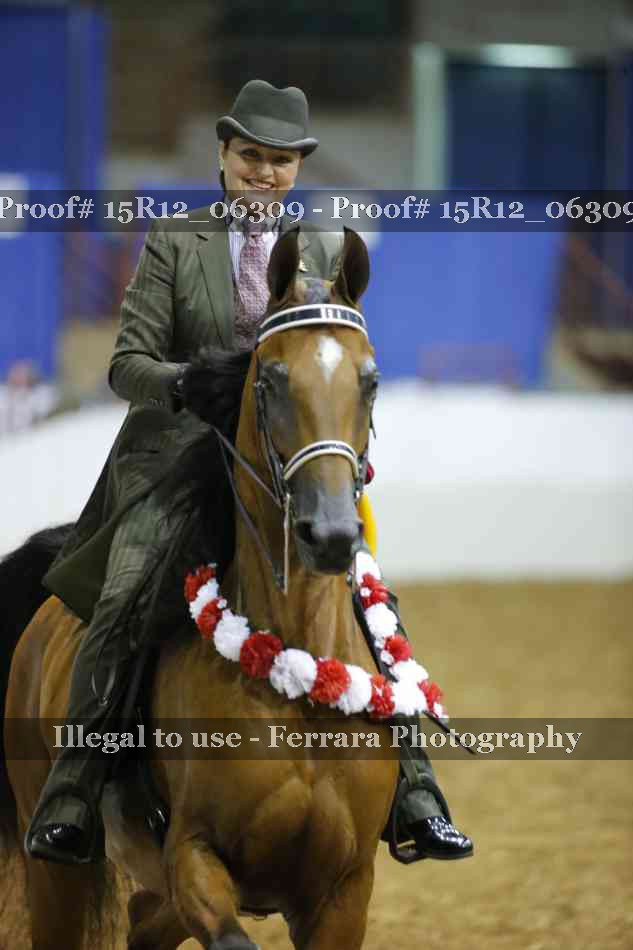 Proof Number 15R12_06309