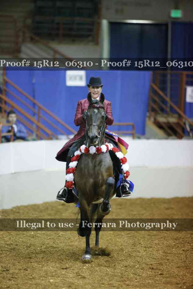 Proof Number 15R12_06310