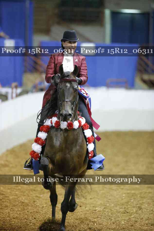 Proof Number 15R12_06311