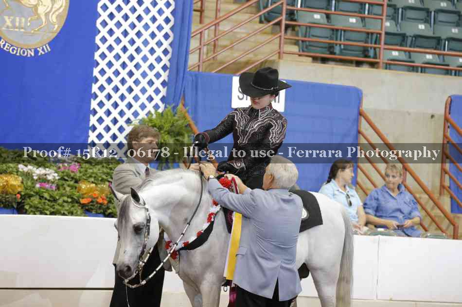 Proof Number 15R12_06178