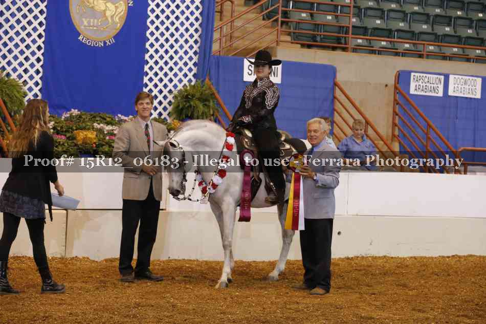 Proof Number 15R12_06183