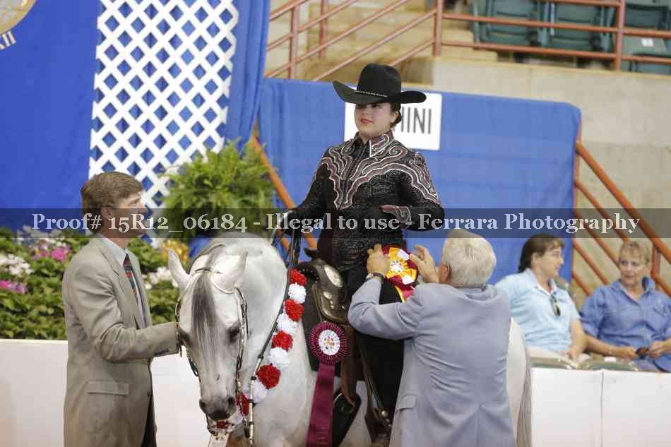 Proof Number 15R12_06184