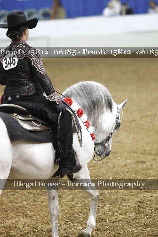 Proof Number 15R12_06185
