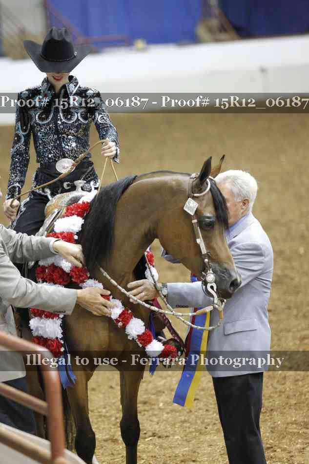 Proof Number 15R12_06187
