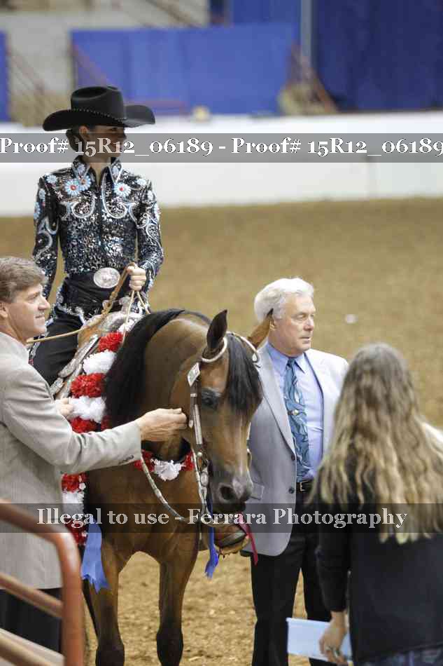 Proof Number 15R12_06189