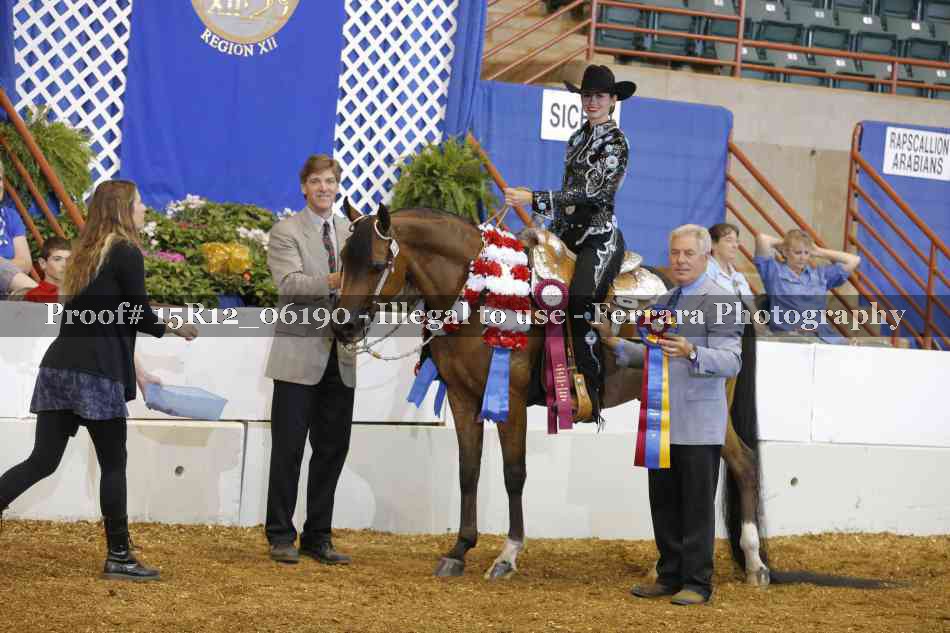 Proof Number 15R12_06190