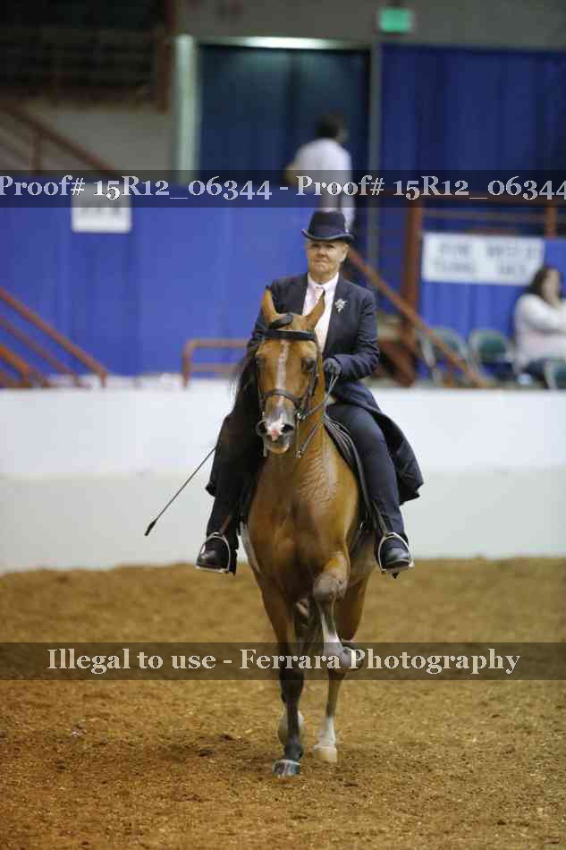 Proof Number 15R12_06344