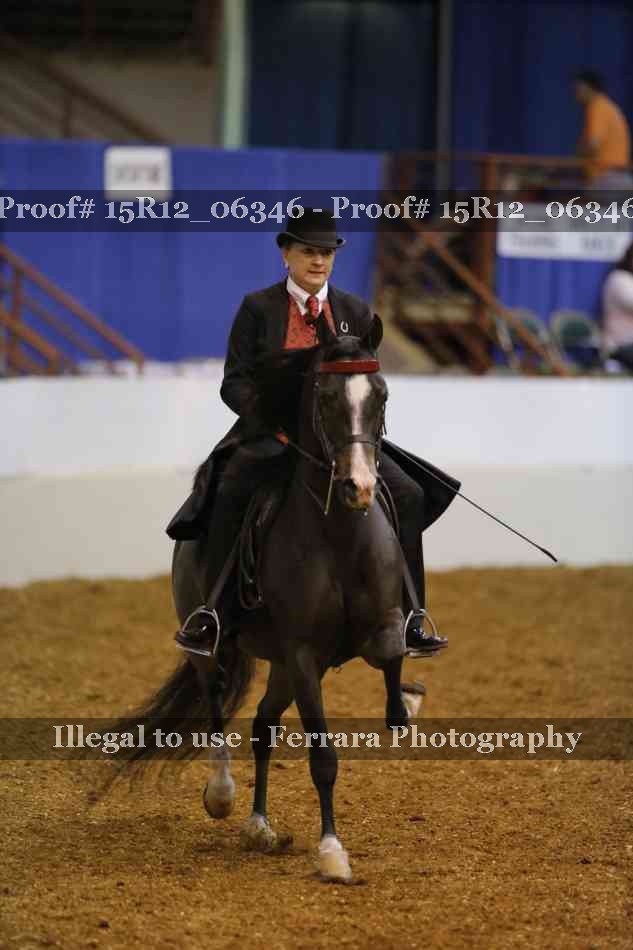 Proof Number 15R12_06346
