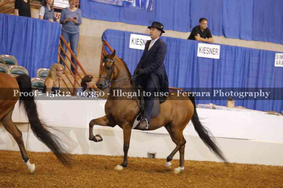 Proof Number 15R12_06350