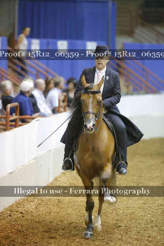 Proof Number 15R12_06359