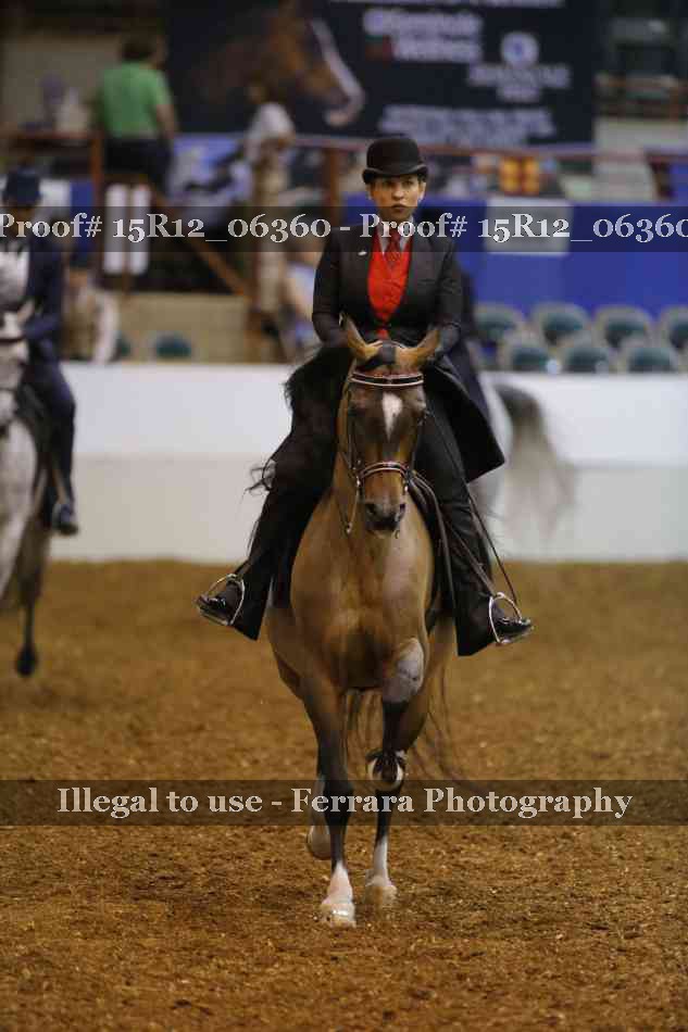 Proof Number 15R12_06360