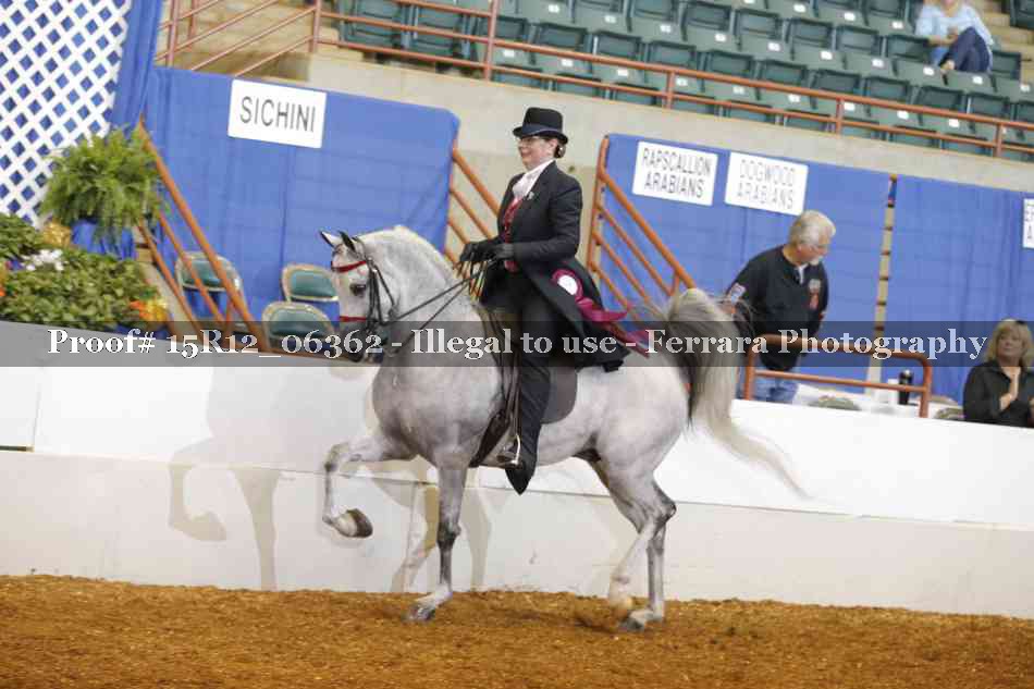 Proof Number 15R12_06362